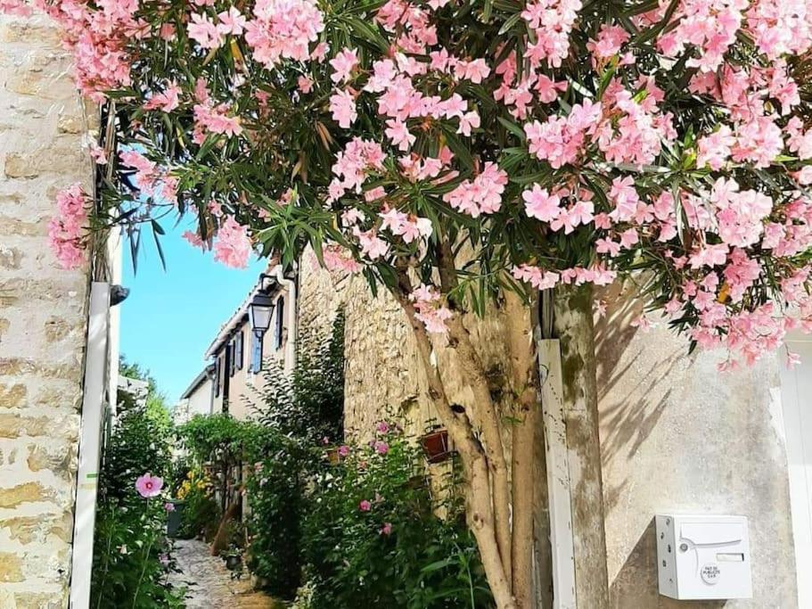 Delicieux Moment De Detente Au Coeur De Saint Martin De Re Экстерьер фото